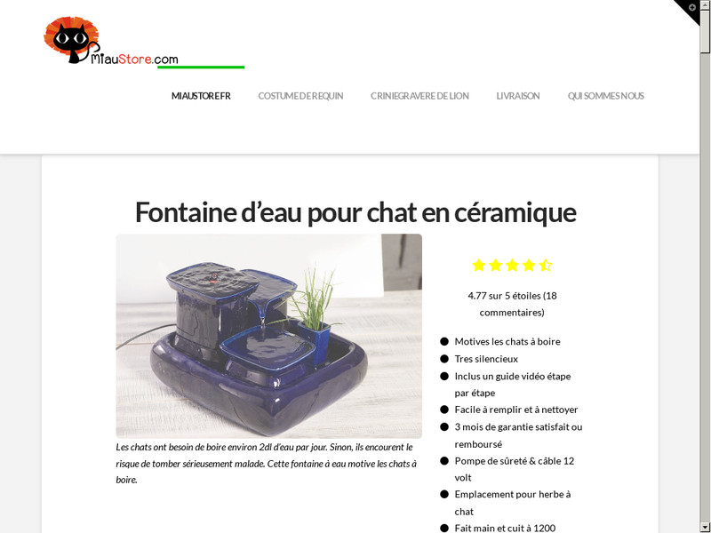 Miaustore Pour Un Chat Heureux Et Au Top De Sa Forme