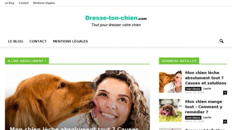 Dresse Ton Chien : Guide pour le dressage d'un chien
