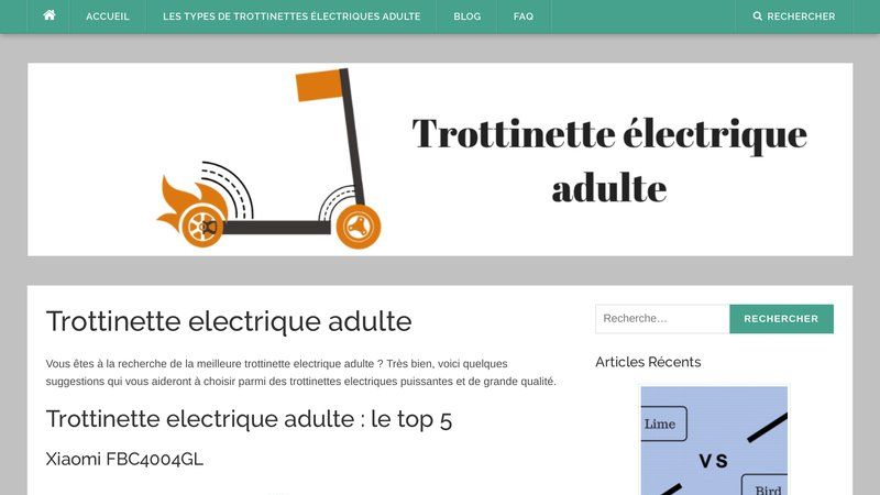Trottinette électrique adulte, portail d'informations sur les trottinettes électriques