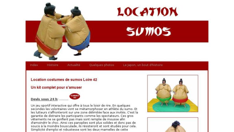 Se transformer en sumo avec une location de costume