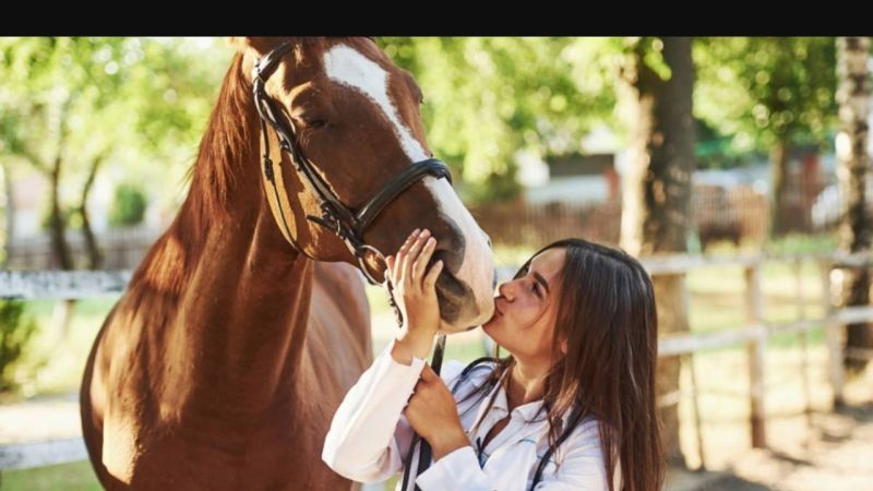 Soigner Autrement : une façon différente de s'occuper des chevaux