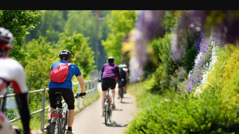 Provence Bike : partenaire de vos balades à vélo en Provence