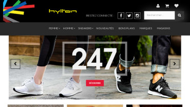 Page d'accueil du site : Hylton