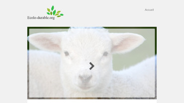Page d'accueil du site : Ecolo-durable.org