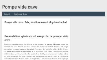 Page d'accueil du site : La pompe vide cave