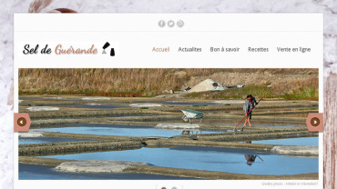 Page d'accueil du site : Sel-DeGuerande