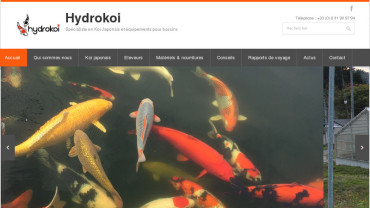 Page d'accueil du site : Hydrokoi