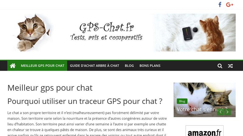 Gps chat