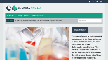 Page d'accueil du site : Business and Co