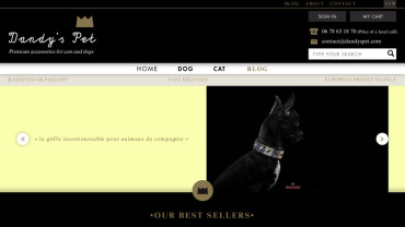 Page d'accueil du site : Dandy's Pet