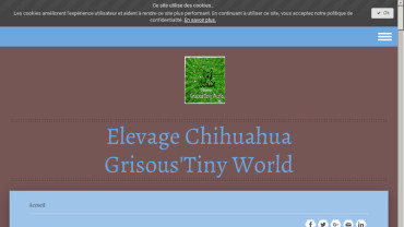 Page d'accueil du site : Grisous'Tiny World