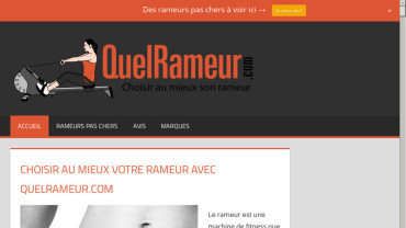 Page d'accueil du site : Quelrameur.com