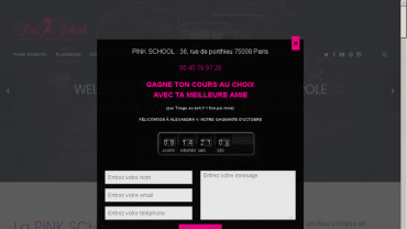 Page d'accueil du site : Pink School