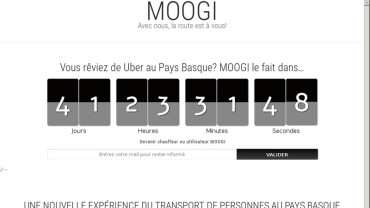 Page d'accueil du site : Moogi