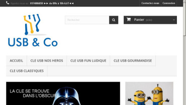 Page d'accueil du site : USB and Co