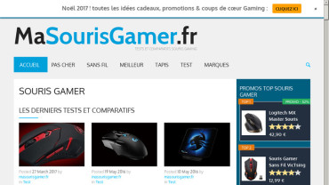Page d'accueil du site : Ma Souris Gamer