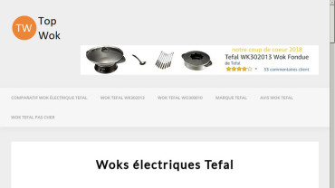 Page d'accueil du site : Top Wok