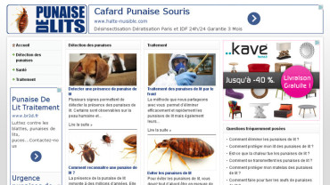 Page d'accueil du site : Punaise-de-lits.fr