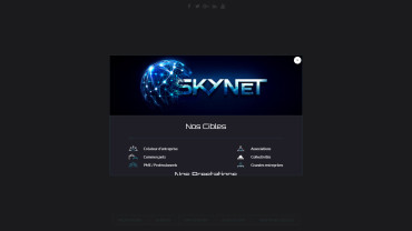 Page d'accueil du site : Skynet France