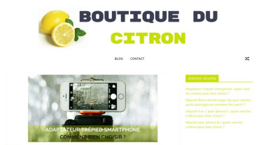 Page d'accueil du site : Boutique du Citron
