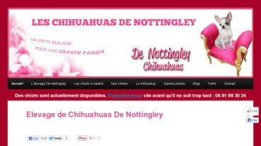 Page d'accueil du site : De Nottingley