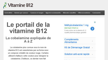 Page d'accueil du site : Vitamine-B12.fr