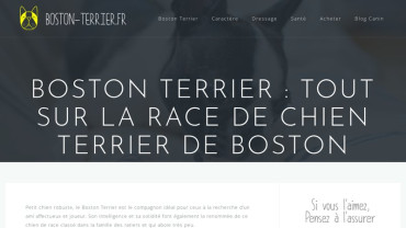 Page d'accueil du site : Boston Terrier