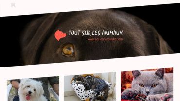 Page d'accueil du site : Edu Canin Breizh