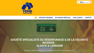 Page d'accueil du site : TEMD