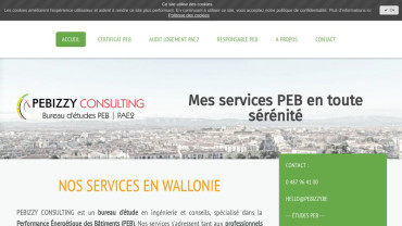 Page d'accueil du site : Pebizzy Consulting