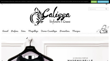 Page d'accueil du site : Calizza