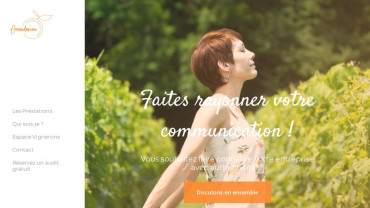 Page d'accueil du site : Amandarine Communication