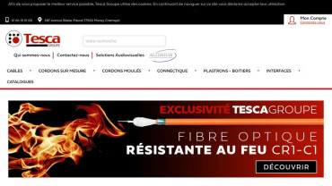 Page d'accueil du site : Tesca Groupe