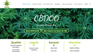 Page d'accueil du site : Cbdoo