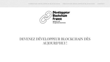 Page d'accueil du site : Développeur Blockchain France