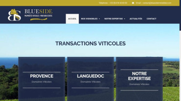 Page d'accueil du site : Blue Side propriétés viticoles