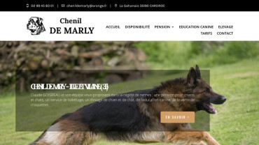 Page d'accueil du site : Chenil de Marly