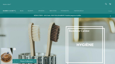 Page d'accueil du site : Bambou Calme 