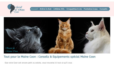 Page d'accueil du site : Secret de Maine Coon