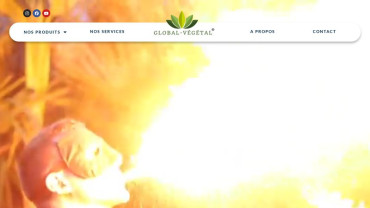 Page d'accueil du site : Global-Végétal