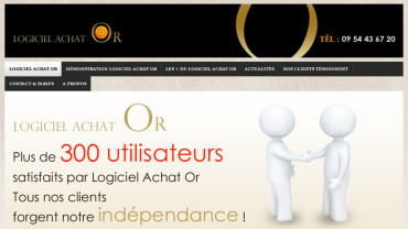 Page d'accueil du site : Logiciel Achat Or