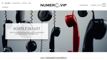 Page d'accueil du site : Numéro VIP