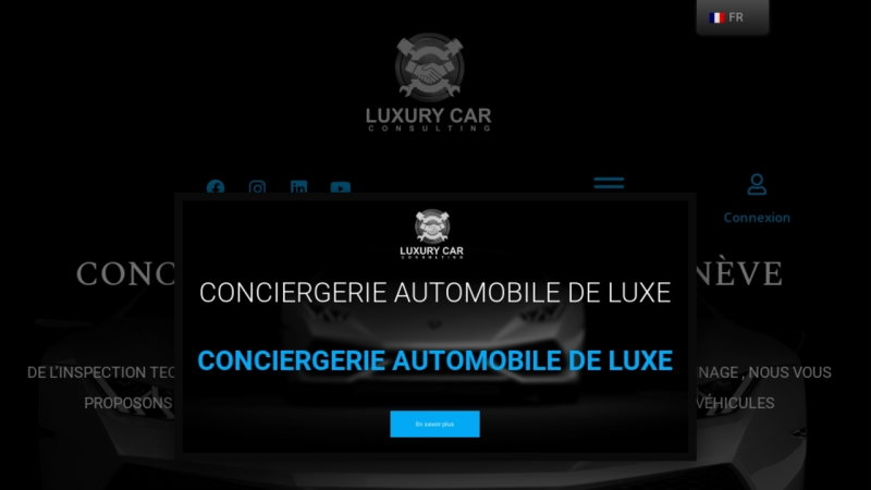 Luxury Car Consulting