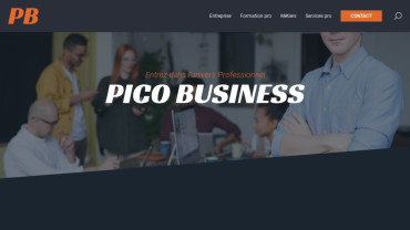 Page d'accueil du site : PICO Business