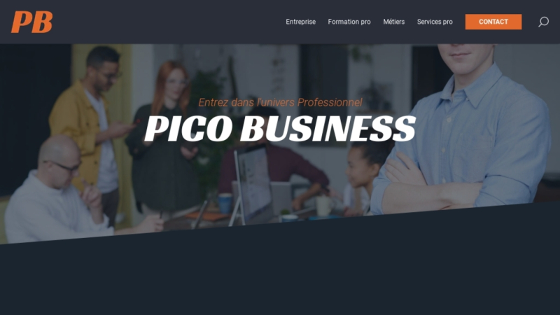 PICO Business