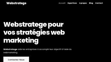 Page d'accueil du site : Webstratege