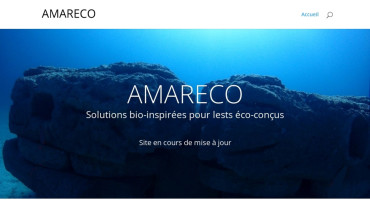 Page d'accueil du site : Amareco