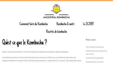 Page d'accueil du site : Ancestral Kombucha