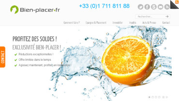 Page d'accueil du site : Bien-Placer.fr 