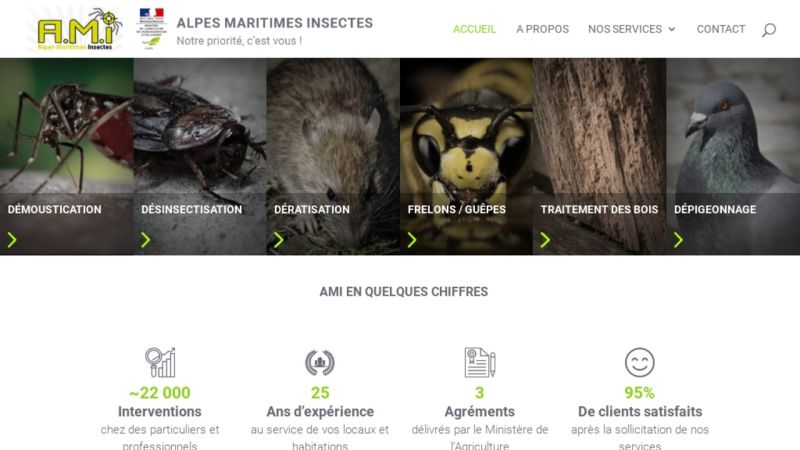 Alpes Maritimes Insectes